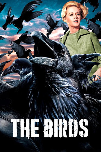 Poster de Los pájaros