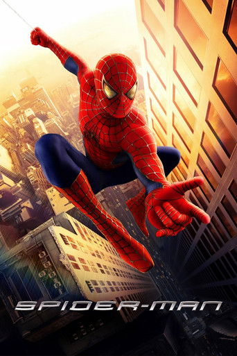 Poster de Spider-Man